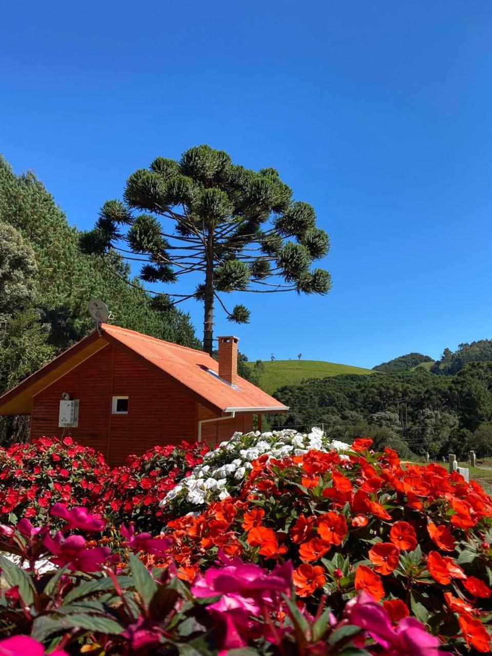Chales Canto Da Serra Monte Verde  Esterno foto